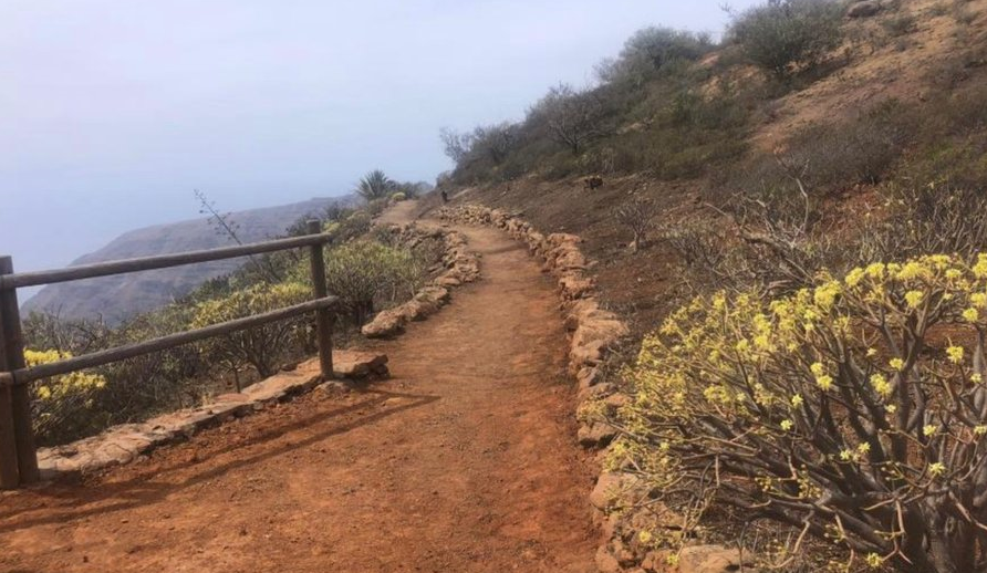 Reabiertos los senderos de La Gomera al rebajarse el riesgo de incendio