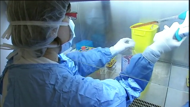 Sanidad contabiliza 79 casos más de coronavirus en Canarias este domingo