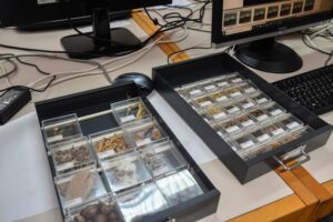 Material arqueológico para el nuevo centro de investigación de la ULPGC