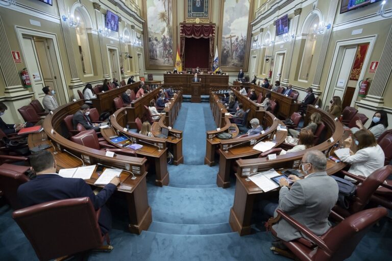 Canarias pide a Europa que mantenga y amplíe las ventajas para que subsista la agricultura local