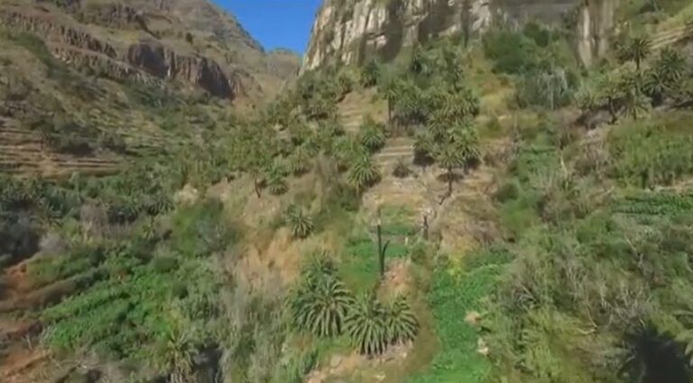 El Cabildo de La Gomera sanea los caminos para proteger las acequias