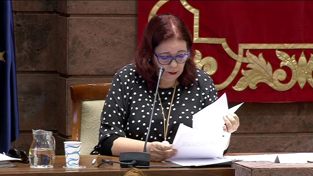 Manuela Armas, abierta a mantener la asignatura de Historia y Geografía de Canarias