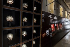 El Museo de Naturaleza y Arqueología de Tenerife muestra en la exposición ‘Inmovilizar el tiempo. Objetos restaurados de Museos de Tenerife’ una de las piezas restauradas de la colección