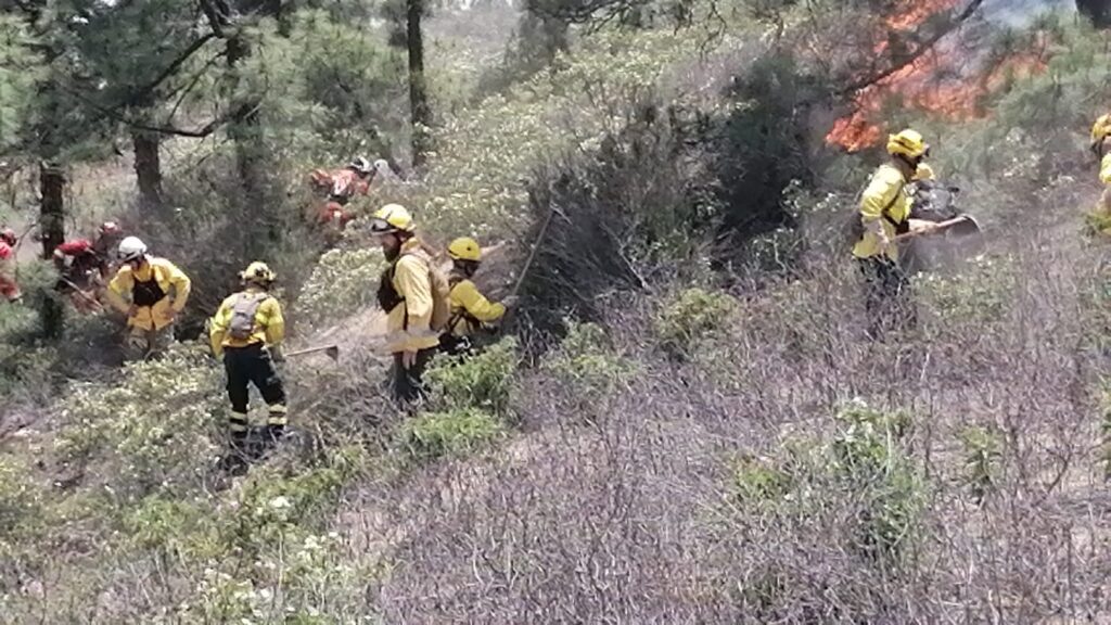 300.000 euros daños incendio Arico