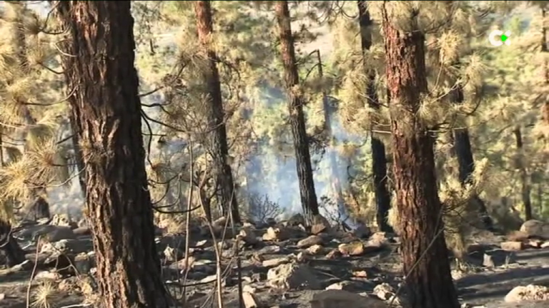 Los equipos de extinción trabajan en los puntos calientes que quedan del incendio de Arico