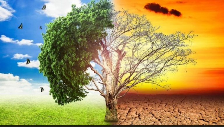 Ben Magec pide actuar de modo «realista y responsable» ante cambio climático