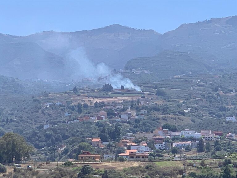 Un conato de incendio afecta a una hectárea de pasto y cañaveral en Santa Brígida