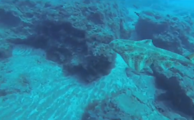 Varios ayuntamientos se adelantan a la celebración del Día Mundial del Medio Ambiente