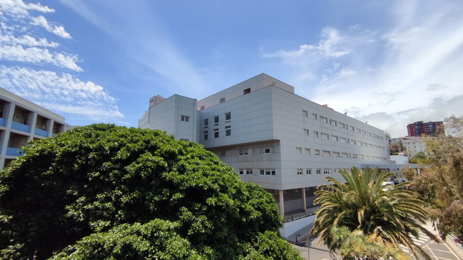 Una mujer resulta herida de carácter moderado tras ser atropellada en Barranco Grande