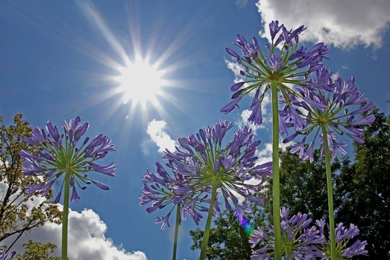 Gran Canaria y Fuerteventura continúan este viernes en aviso amarillo por temperaturas que podrían llegar a los 34 grados