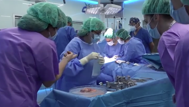 Canarias aumenta cerca de un 30 por ciento las donaciones de órganos durante el primer cuatrimestre