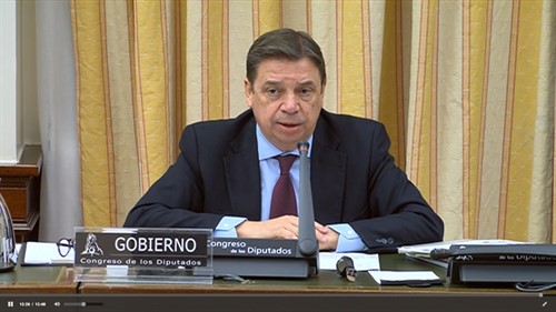 España espera en cuestión de semanas la resolución de la OMC sobre los aranceles de EEUU a la aceituna negra