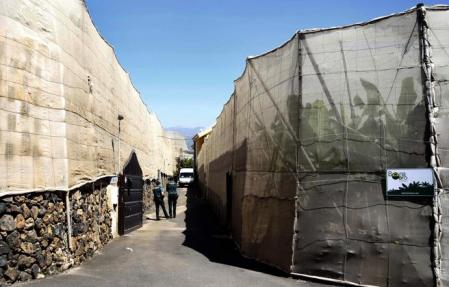 El Supremo confirma prisión permanente revisable a un hombre que mató a sus padres y abuelo en la casa familiar en Guaza, Tenerife