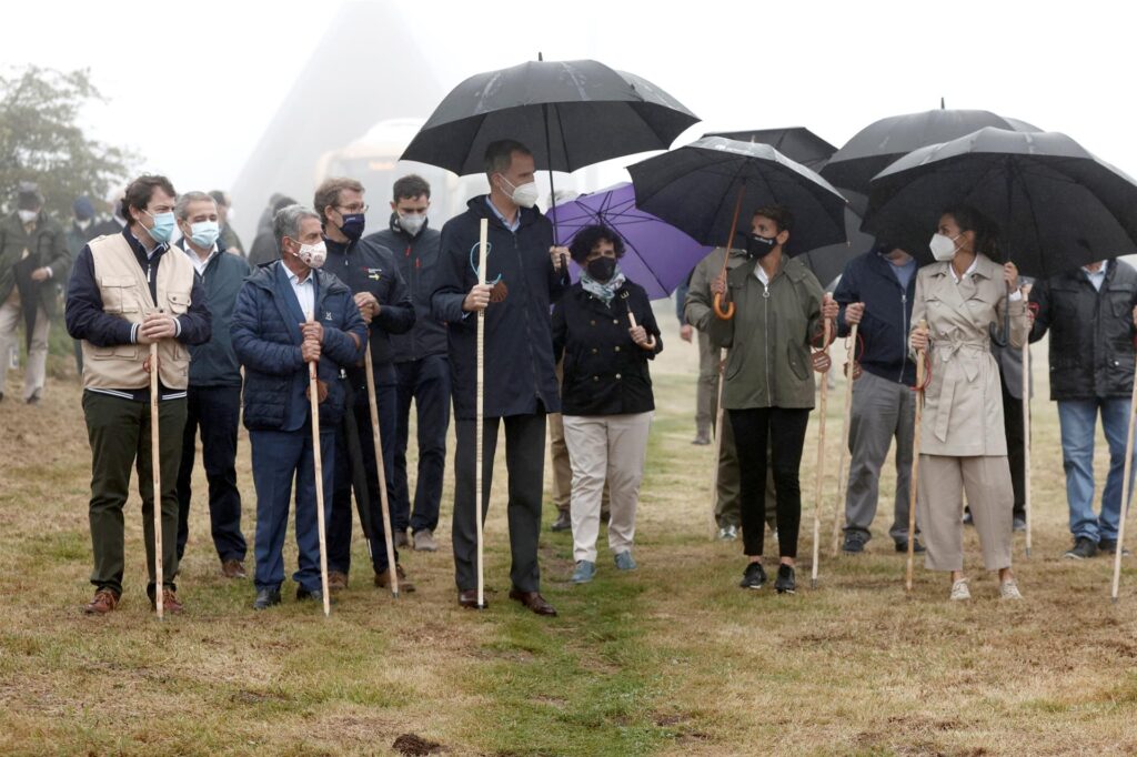 Felipe VI   Ruta Jacobea