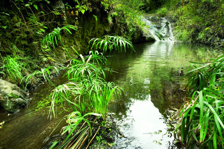 Barranco de Azuaje, paraíso del agua