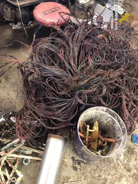 La Laguna cuenta con nuevos protectores de las especies autóctonas