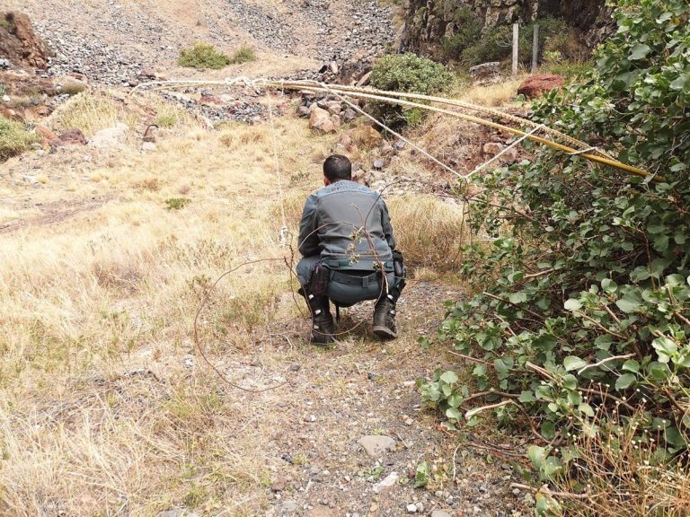 Detenida una persona y esclarecida plaga de moscas por vertedero de estiércol