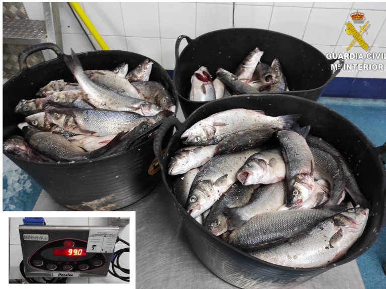 Sorprendidos por la Guardia Civil tras hurtar 99 kilos de lubinas en Lanzarote