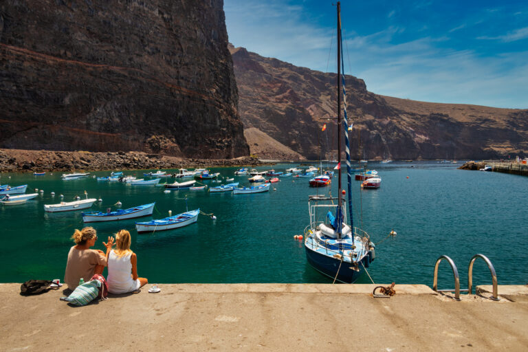 Tras la pista de Moby Dick; Navegar entre cetáceos en la costa gomera