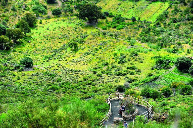 La Caldera de Bandama, «el cráter más perfecto de Canarias»