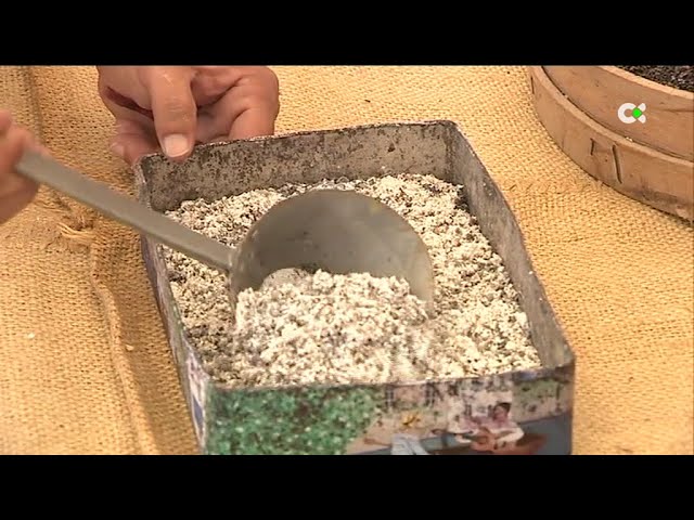 El cultivo de la cochinilla lucha por sobrevivir