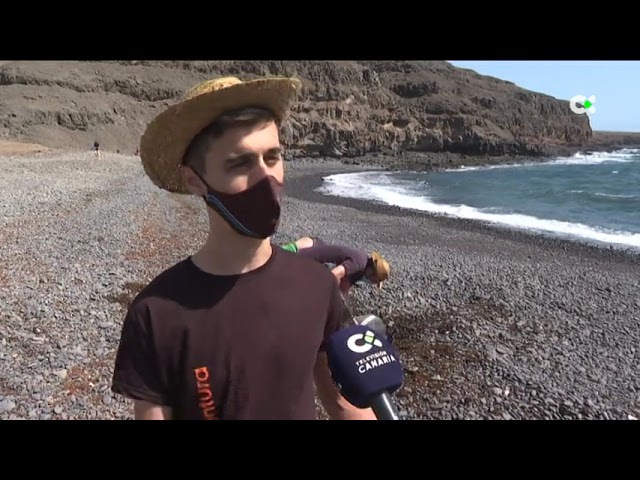 Challenge Cuida Fuerteventura, concienciación sobre el medio natural