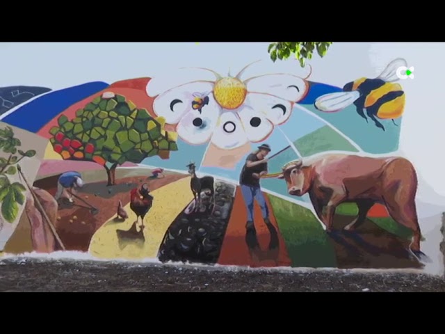 Dos grandes murales dan la bienvenida a los visitantes de Valsequillo