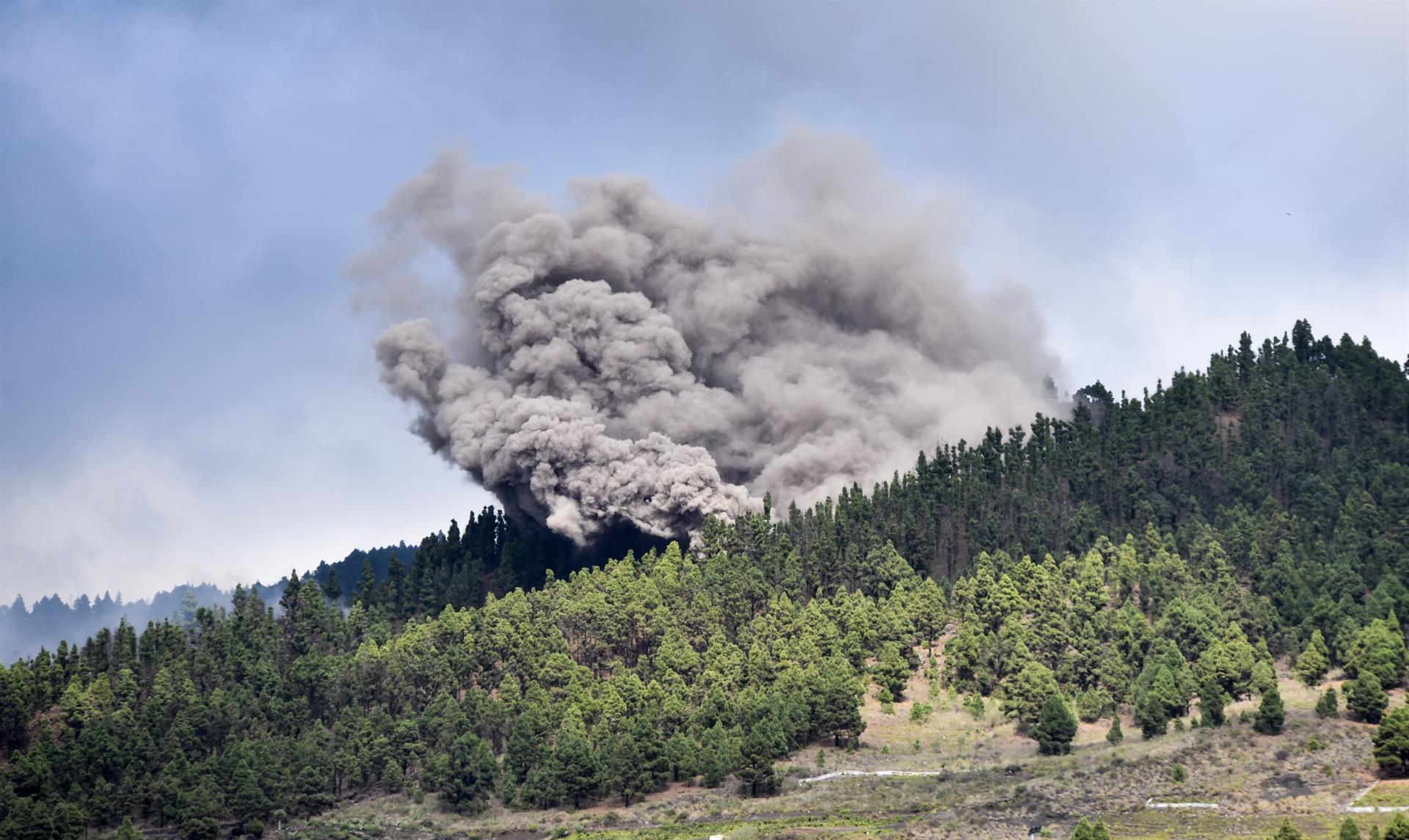 Suspenden las clases en El Paso, Los Llanos de Aridane y Tazacorte por la erupción del volcán