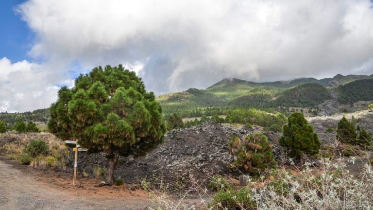 El IGN registra más de 70 sismos en La Palma esta madrugada