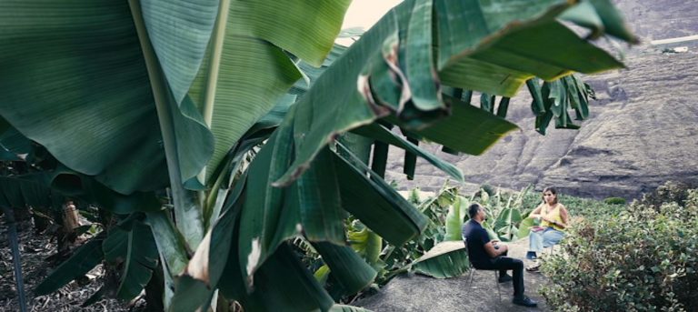 ‘¿A dónde va mi dinero?’ analiza las indemnizaciones y ayudas públicas a los afectados por el volcán de La Palma