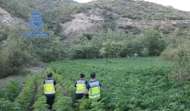 La Policía Nacional detiene en Las Palmas de Gran Canaria a un hombre y a una mujer por extorsión