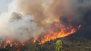 Incendio