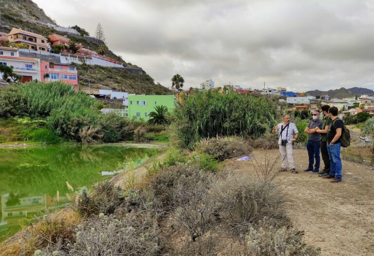 Hallan una veintena de aves muertas en una charca de Tenerife