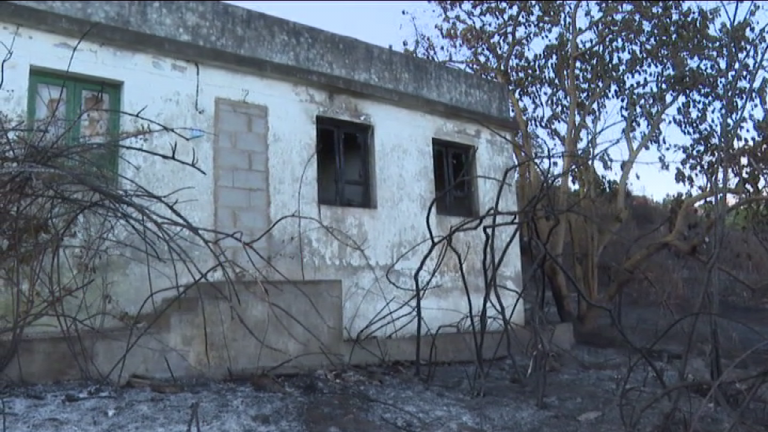 El incendio de Pinolere (La Orotava) afectó unas 7,2 hectáreas