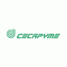 Cecapyme «no» ve lógico que ante la crisis económica actual el Gobierno canario reduzca un 30% la partida de formación