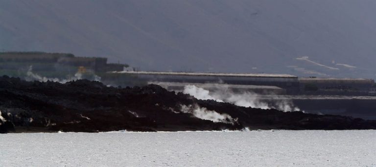 La ULPGC graba las primeras imágenes submarinas de la fajana