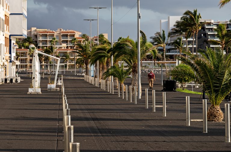 Coordinación entre administraciones para avanzar en la recuperación de La Palma tras el volcán