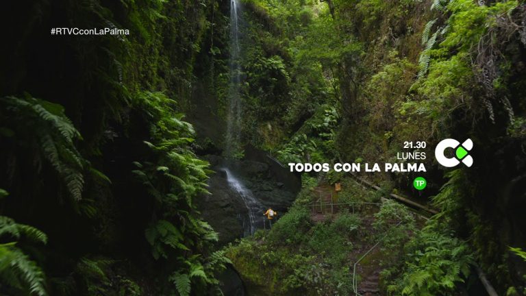 ¡TODOS CON LA PALMA! Programa especial este lunes a las 21.30 horas