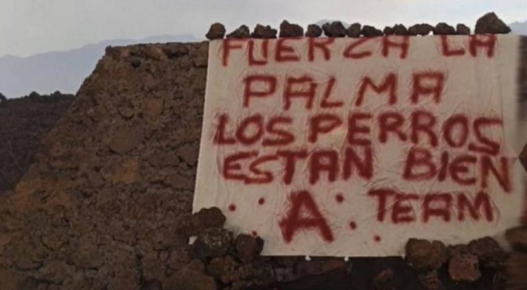 Leales.org recibe fotos y vídeos de los podencos liberados en Todoque
