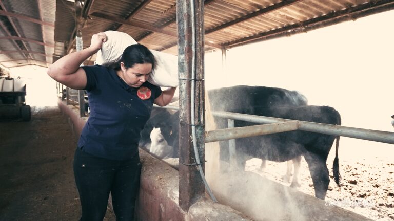 ‘¿A dónde va mi dinero?’ analiza el estado del sector primario en Canarias