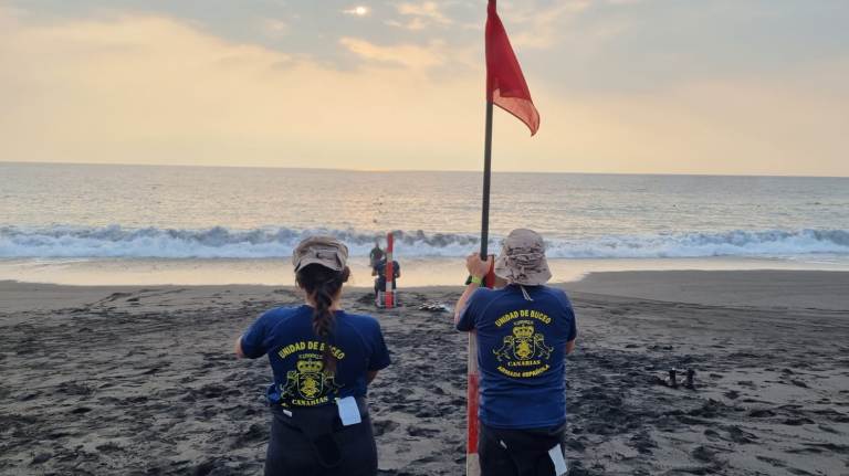 Estudian la costa palmera para poder transportar en lanchas a los agricultores