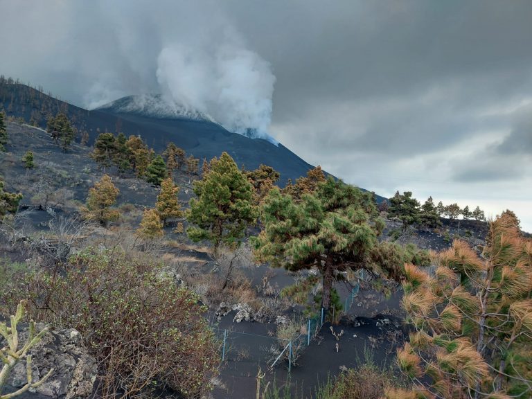 Localizados 31 terremotos en La Palma, a gran profundidad