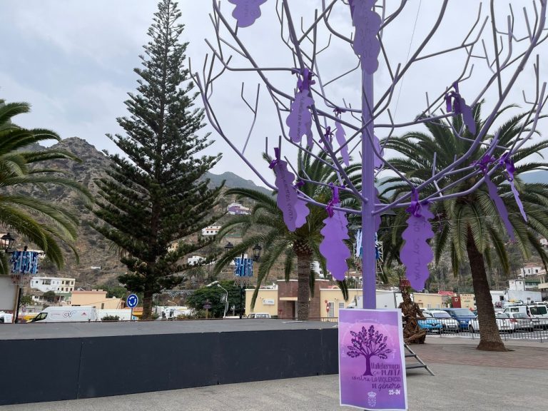 Canarias dice «no» a la violencia machista con actos por todo el archipiélago