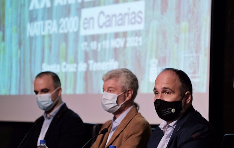 El Gobierno canario quiere prohibir los vehículos contaminantes en las grandes ciudades en 2030