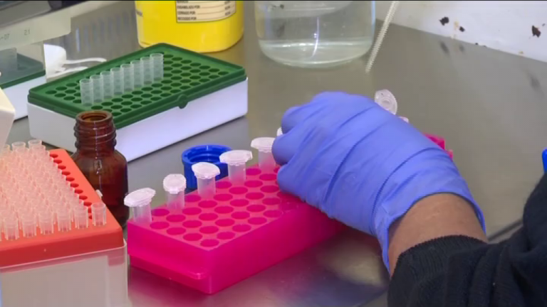 Controles diarios al agua de abasto en los municipios afectados por el volcán