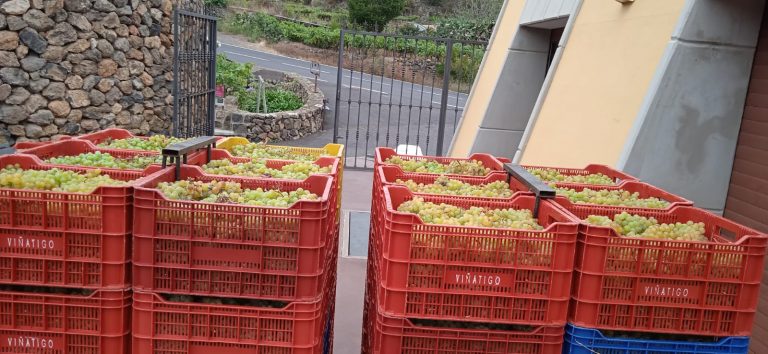 El Gobierno abona el POSEI adicional de 2020, de 12 millones de euros