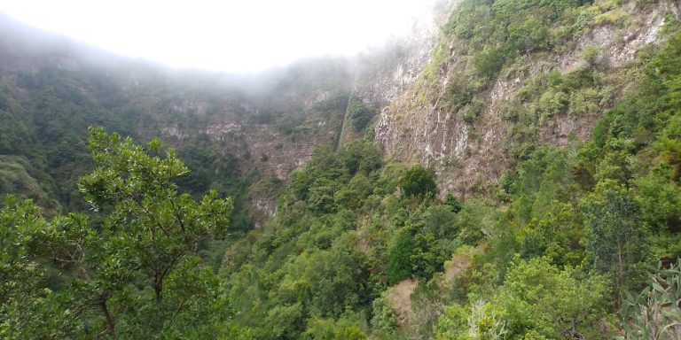 Sánchez anuncia un nuevo paquete de medidas de ayuda a La Palma