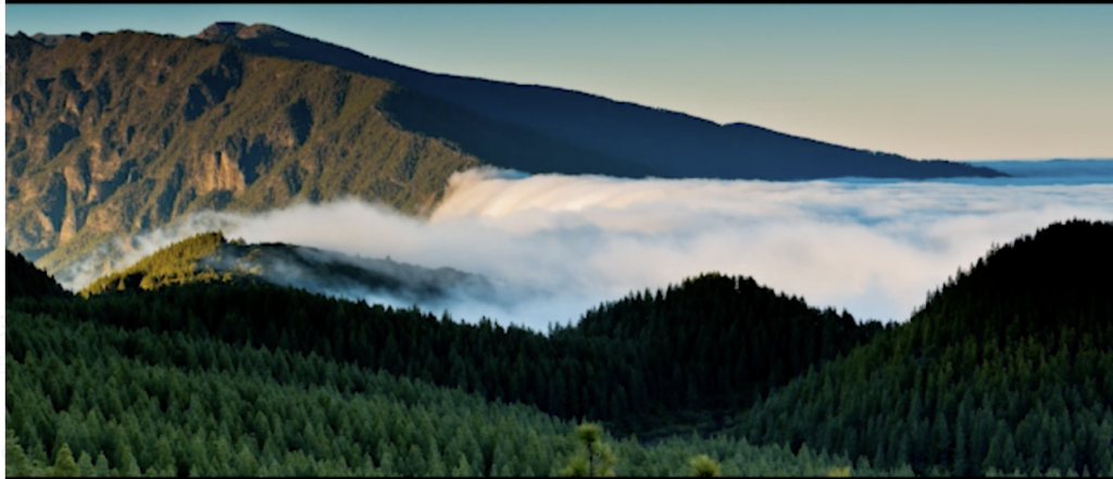 La Palma incrementa su presupuesto para promocionar a la isla