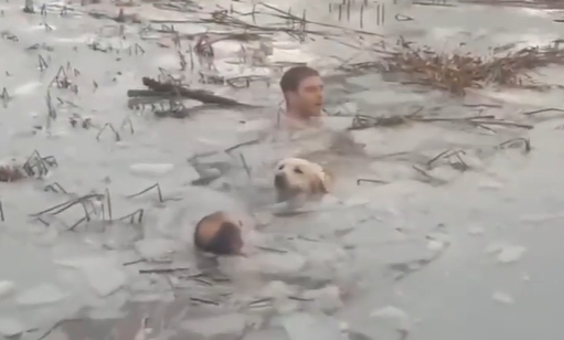 La guardia civil rescata a un perro en un lago helado en Jaca