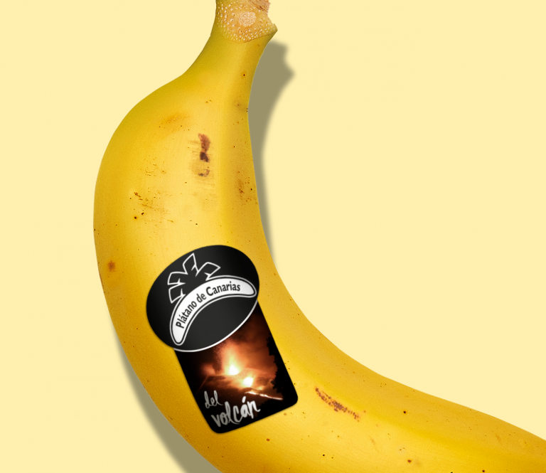 No paran las iniciativas de apoyo y solidaridad con La Palma